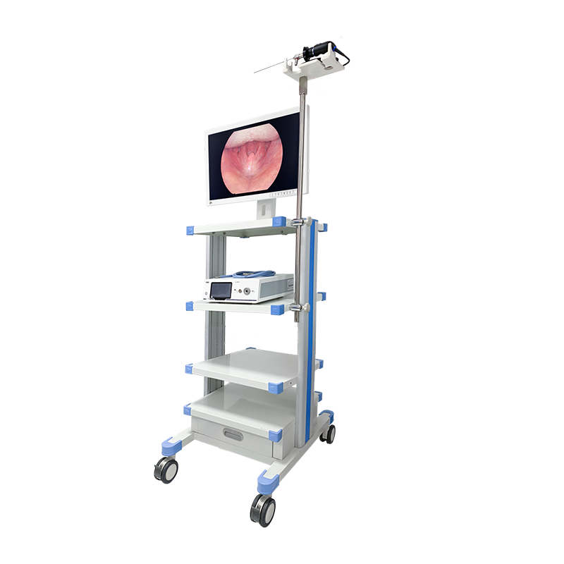 tsarin hysteroscope