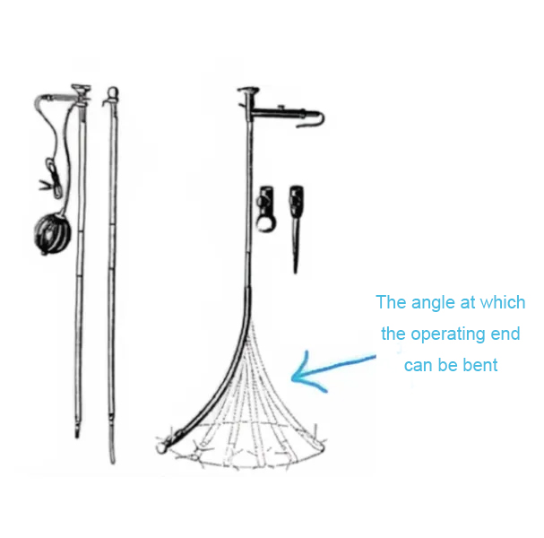 Semi curved endoscope